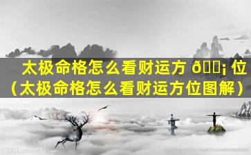 太极命格怎么看财运方 🐡 位（太极命格怎么看财运方位图解）